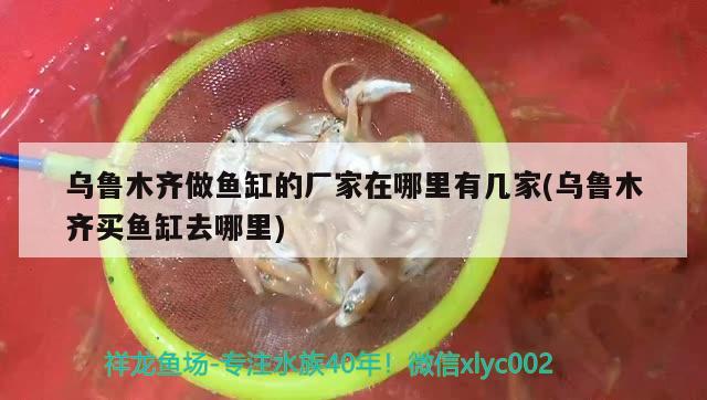 烏魯木齊做魚缸的廠家在哪里有幾家(烏魯木齊買魚缸去哪里) 定時(shí)器/自控系統(tǒng)