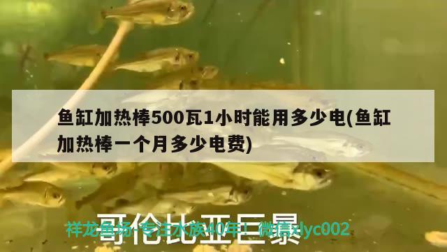 魚(yú)缸加熱棒500瓦1小時(shí)能用多少電(魚(yú)缸加熱棒一個(gè)月多少電費(fèi))