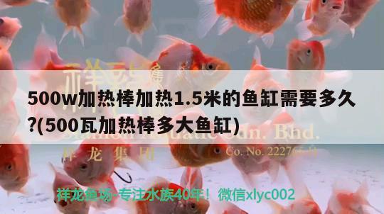 500w加熱棒加熱1.5米的魚缸需要多久?(500瓦加熱棒多大魚缸)