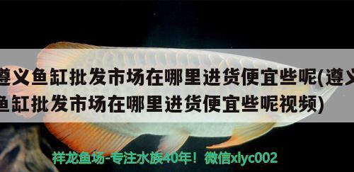 遵義魚(yú)缸批發(fā)市場(chǎng)在哪里進(jìn)貨便宜些呢(遵義魚(yú)缸批發(fā)市場(chǎng)在哪里進(jìn)貨便宜些呢視頻) 麥肯斯銀版魚(yú)