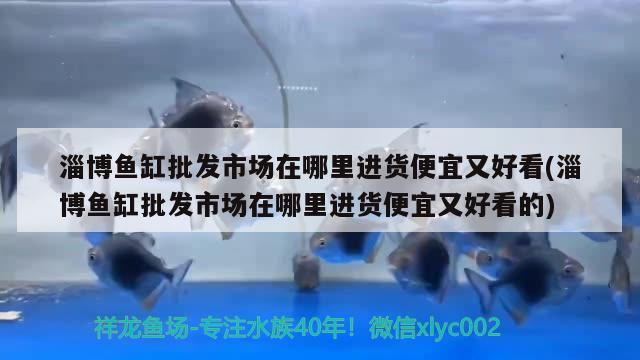 淄博魚(yú)缸批發(fā)市場(chǎng)在哪里進(jìn)貨便宜又好看(淄博魚(yú)缸批發(fā)市場(chǎng)在哪里進(jìn)貨便宜又好看的)