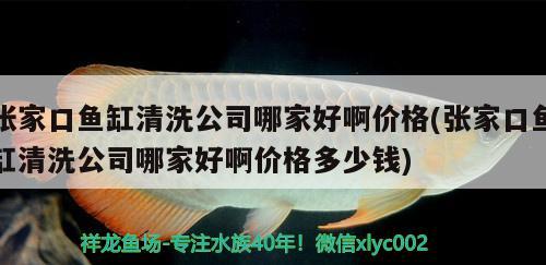 張家口魚缸清洗公司哪家好啊價(jià)格(張家口魚缸清洗公司哪家好啊價(jià)格多少錢) 名貴錦鯉魚