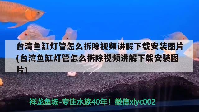 臺灣魚缸燈管怎么拆除視頻講解下載安裝圖片(臺灣魚缸燈管怎么拆除視頻講解下載安裝圖片) 申古三間魚 第2張