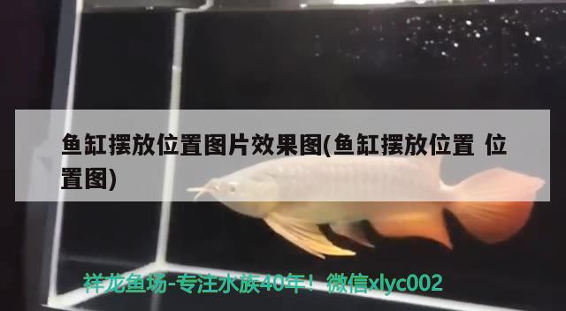 魚(yú)缸擺放位置圖片效果圖(魚(yú)缸擺放位置位置圖) 潛水泵