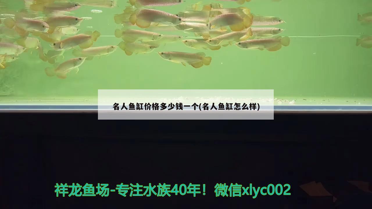 名人魚(yú)缸價(jià)格多少錢(qián)一個(gè)(名人魚(yú)缸怎么樣)