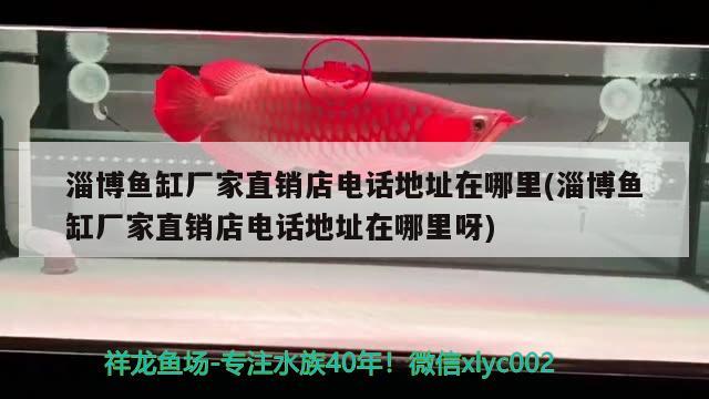 淄博魚缸廠家直銷店電話地址在哪里(淄博魚缸廠家直銷店電話地址在哪里呀) 森森魚缸