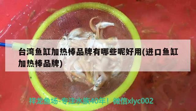 臺(tái)灣魚缸加熱棒品牌有哪些呢好用(進(jìn)口魚缸加熱棒品牌)