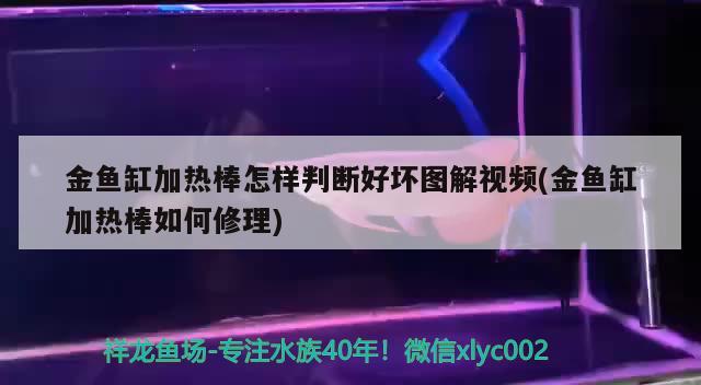 金魚缸加熱棒怎樣判斷好壞圖解視頻(金魚缸加熱棒如何修理) 恐龍王魚