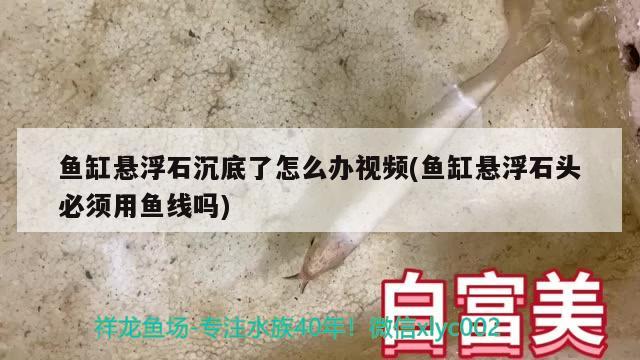 魚缸懸浮石沉底了怎么辦視頻(魚缸懸浮石頭必須用魚線嗎)