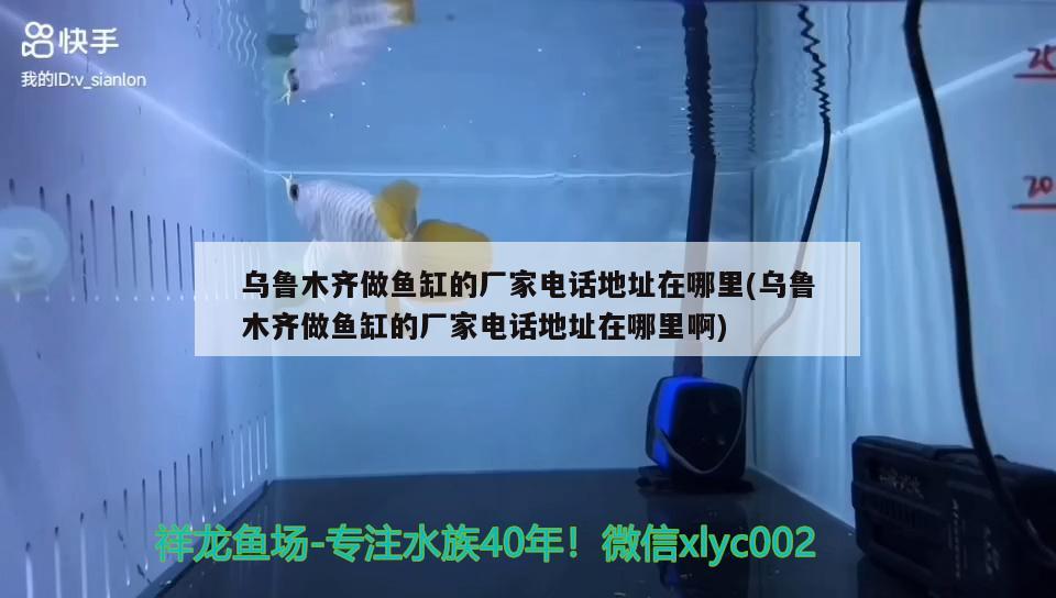 烏魯木齊做魚缸的廠家電話地址在哪里(烏魯木齊做魚缸的廠家電話地址在哪里啊) 哥倫比亞巨暴魚苗