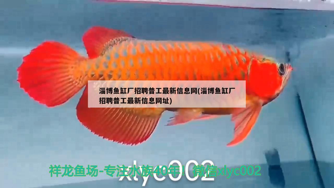 淄博魚缸廠招聘普工最新信息網(wǎng)(淄博魚缸廠招聘普工最新信息網(wǎng)址)