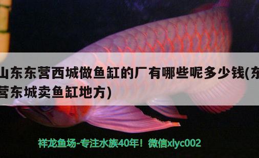 山東東營(yíng)西城做魚(yú)缸的廠有哪些呢多少錢(qián)(東營(yíng)東城賣(mài)魚(yú)缸地方)