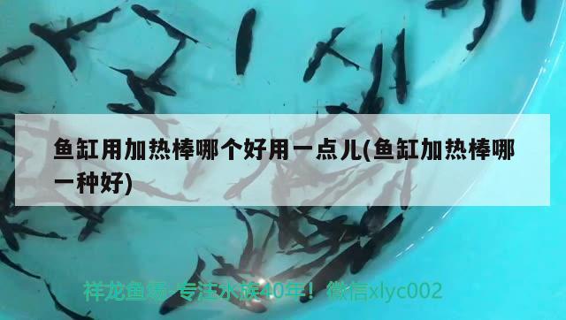 魚缸用加熱棒哪個好用一點兒(魚缸加熱棒哪一種好) 觀賞魚市場