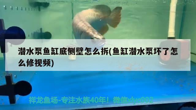 潛水泵魚缸底側(cè)壁怎么拆(魚缸潛水泵壞了怎么修視頻)