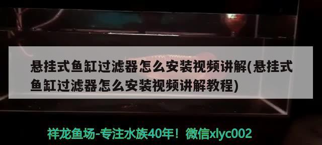 懸掛式魚缸過濾器怎么安裝視頻講解(懸掛式魚缸過濾器怎么安裝視頻講解教程)