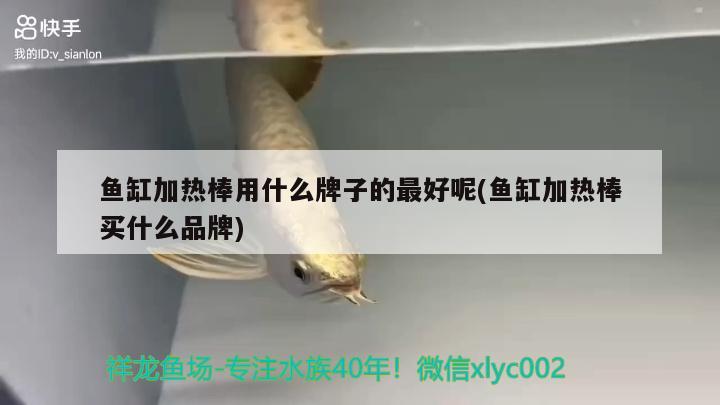 魚缸加熱棒用什么牌子的最好呢(魚缸加熱棒買什么品牌)