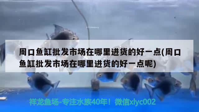 周口魚缸批發(fā)市場在哪里進貨的好一點(周口魚缸批發(fā)市場在哪里進貨的好一點呢)