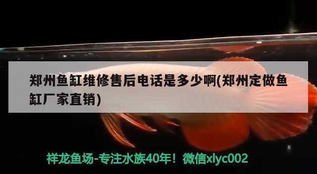 鄭州魚缸維修售后電話是多少啊(鄭州定做魚缸廠家直銷) 龍魚百科