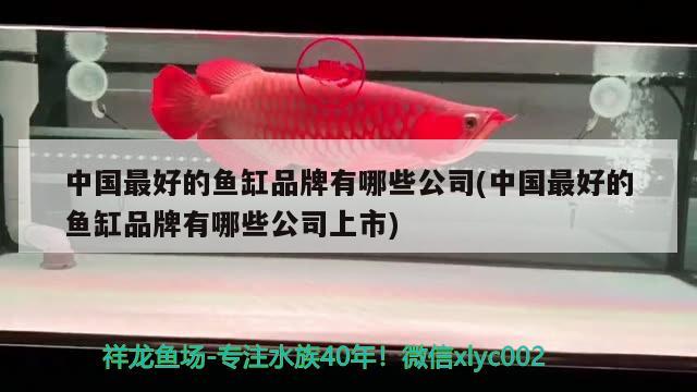 中國(guó)最好的魚缸品牌有哪些公司(中國(guó)最好的魚缸品牌有哪些公司上市)