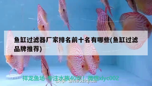 魚缸過濾器廠家排名前十名有哪些(魚缸過濾品牌推薦) 金龍魚百科