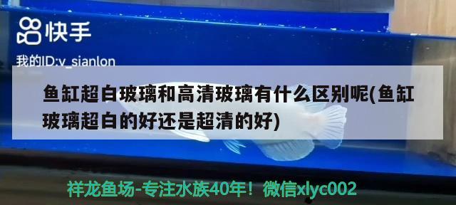 魚缸超白玻璃和高清玻璃有什么區(qū)別呢(魚缸玻璃超白的好還是超清的好)