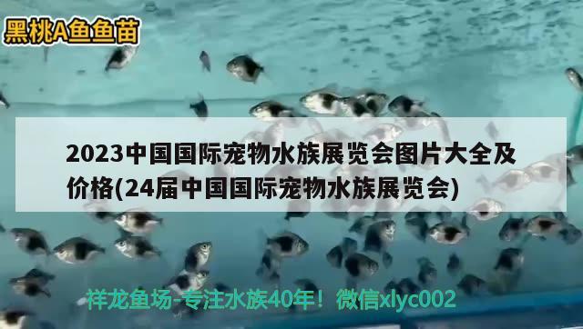 2023中國國際寵物水族展覽會圖片大全及價格(24屆中國國際寵物水族展覽會) 水族展會