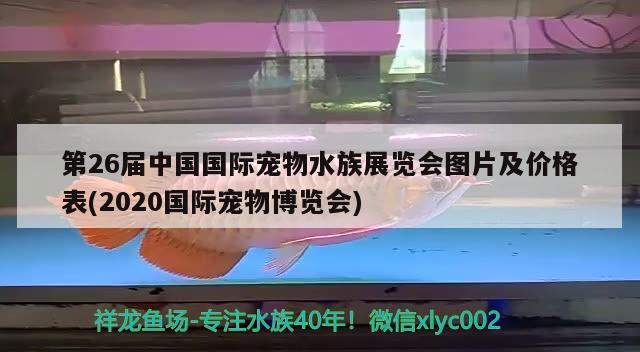 第26屆中國國際寵物水族展覽會(huì)圖片及價(jià)格表(2020國際寵物博覽會(huì)) 水族展會(huì)