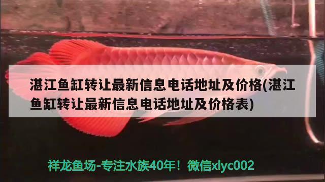 湛江魚缸轉(zhuǎn)讓最新信息電話地址及價格(湛江魚缸轉(zhuǎn)讓最新信息電話地址及價格表)