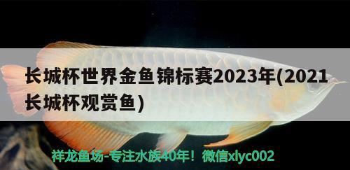 長(zhǎng)城杯世界金魚(yú)錦標(biāo)賽2023年(2021長(zhǎng)城杯觀賞魚(yú))