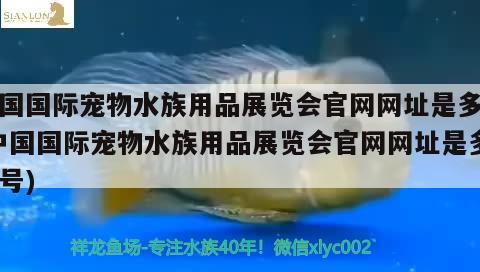 中國(guó)國(guó)際寵物水族用品展覽會(huì)官網(wǎng)網(wǎng)址是多少(中國(guó)國(guó)際寵物水族用品展覽會(huì)官網(wǎng)網(wǎng)址是多少號(hào)) 水族用品