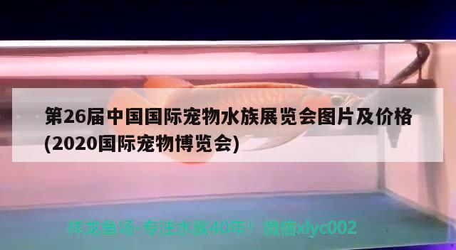 第26屆中國國際寵物水族展覽會圖片及價格(2020國際寵物博覽會)