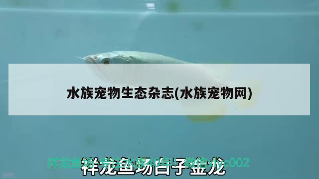 水族寵物生態(tài)雜志(水族寵物網(wǎng))