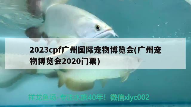 2023cpf廣州國際寵物博覽會(廣州寵物博覽會2020門票) 2024第28屆中國國際寵物水族展覽會CIPS（長城寵物展2024 CIPS）