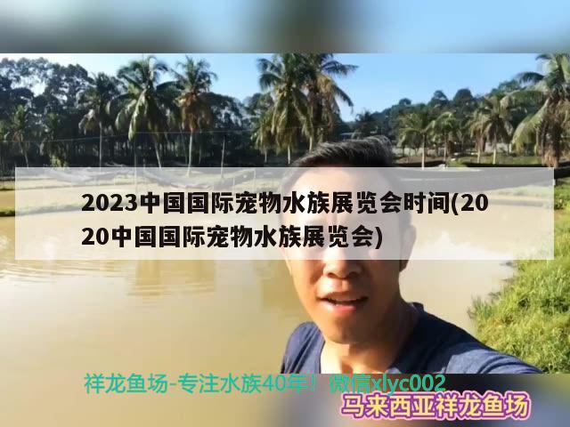 2023中國國際寵物水族展覽會時間(2020中國國際寵物水族展覽會) 水族展會