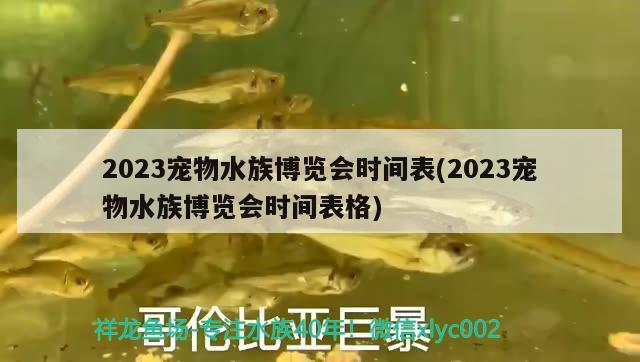 2023寵物水族博覽會時間表(2023寵物水族博覽會時間表格)