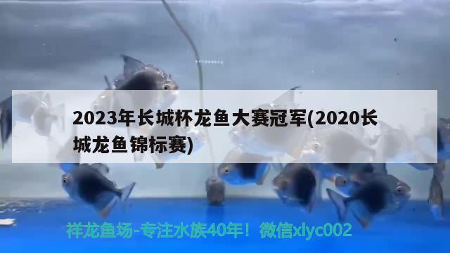 2023年長城杯龍魚大賽冠軍(2020長城龍魚錦標(biāo)賽)