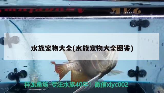 水族寵物大全(水族寵物大全圖鑒)