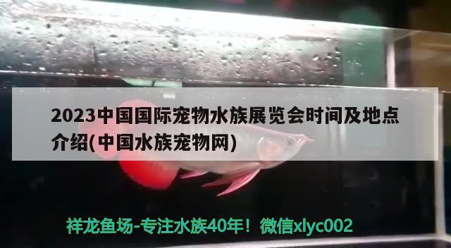 2023中國(guó)國(guó)際寵物水族展覽會(huì)時(shí)間及地點(diǎn)介紹(中國(guó)水族寵物網(wǎng)) 水族展會(huì)