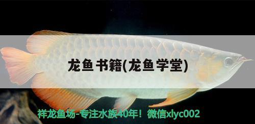 龍魚書籍(龍魚學(xué)堂)