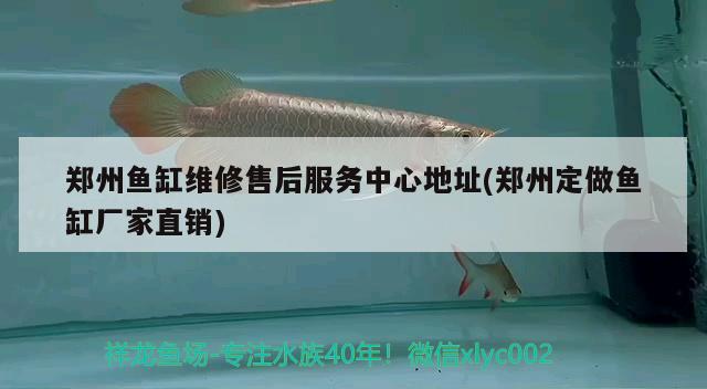 鄭州魚缸維修售后服務(wù)中心地址(鄭州定做魚缸廠家直銷)