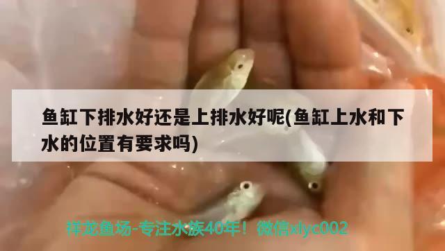 魚缸下排水好還是上排水好呢(魚缸上水和下水的位置有要求嗎)