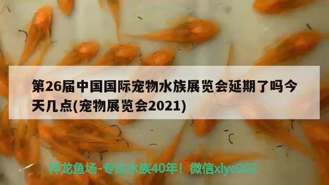 第26屆中國國際寵物水族展覽會延期了嗎今天幾點(diǎn)(寵物展覽會2021) 水族展會 第2張