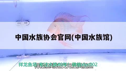 中國(guó)水族協(xié)會(huì)官網(wǎng)(中國(guó)水族館)