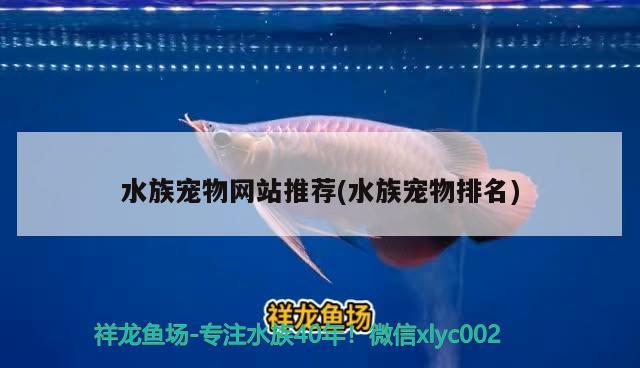 水族寵物網(wǎng)站推薦(水族寵物排名)