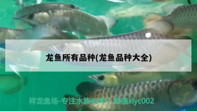 龍魚所有品種(龍魚品種大全)