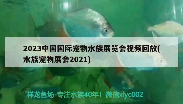 2023中國國際寵物水族展覽會視頻回放(水族寵物展會2021) 水族展會