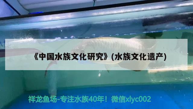 《中國水族文化研究》(水族文化遺產(chǎn))