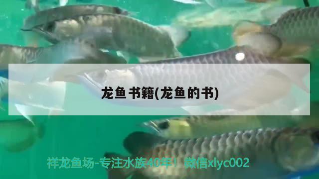 龍魚書籍(龍魚的書)