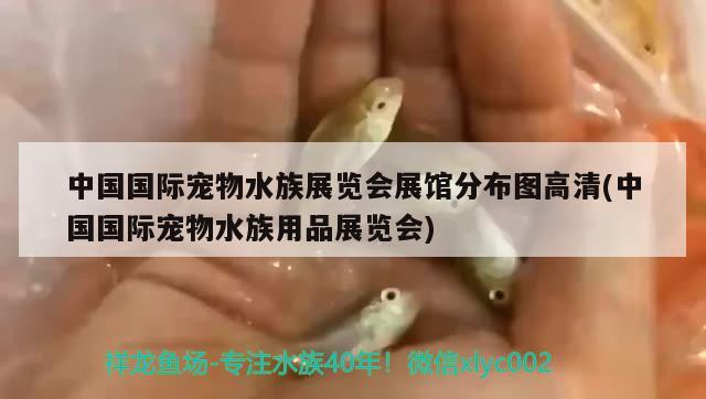 中國國際寵物水族展覽會(huì)展館分布圖高清(中國國際寵物水族用品展覽會(huì))