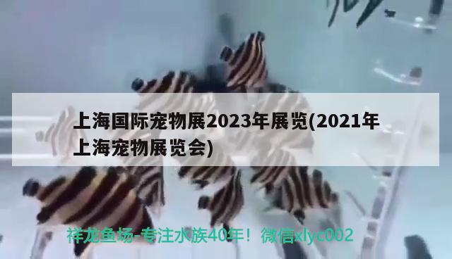 上海國際寵物展2023年展覽(2021年上海寵物展覽會) 2025第29屆中國國際寵物水族展覽會CIPS（長城寵物展2025 CIPS）